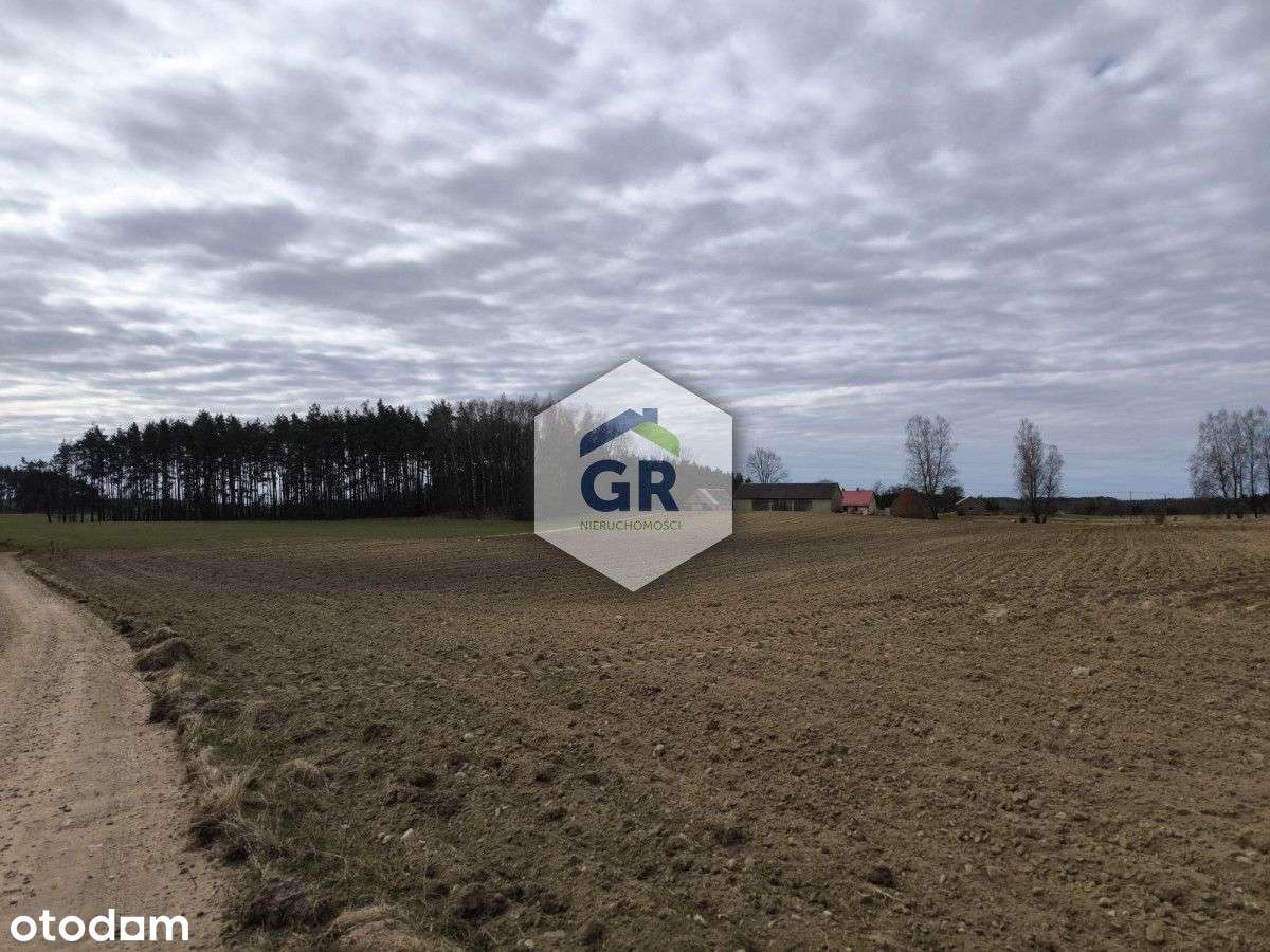 Grunt rolny na sprzedaż/Skorzewo/Kaszuby - Pełny obrazek: 4/10