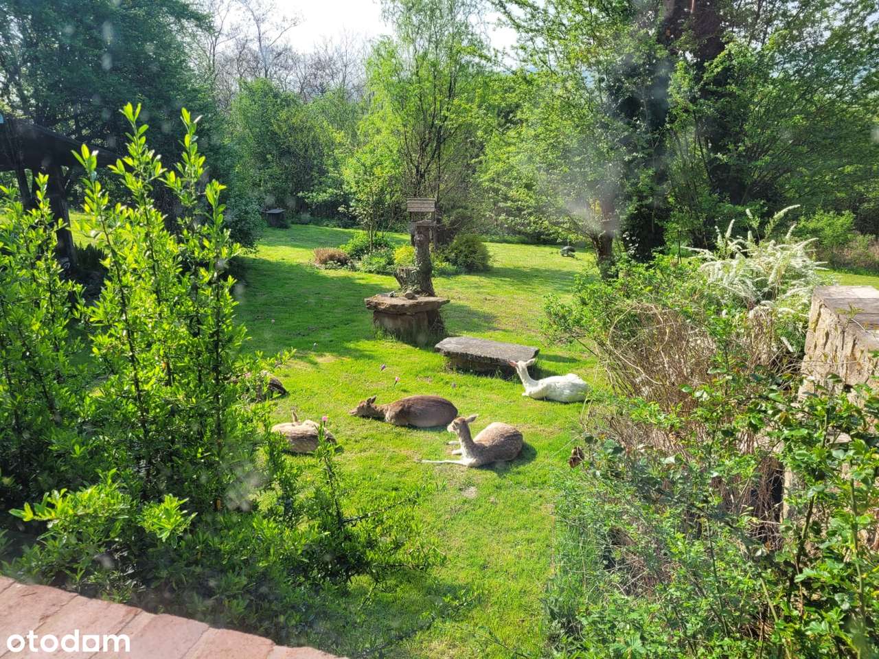 WIĘCKOWICE-DOM WOLNOSTOJĄCY. PRZESTRZEŃ, CISZA, ZIELEŃ.-6