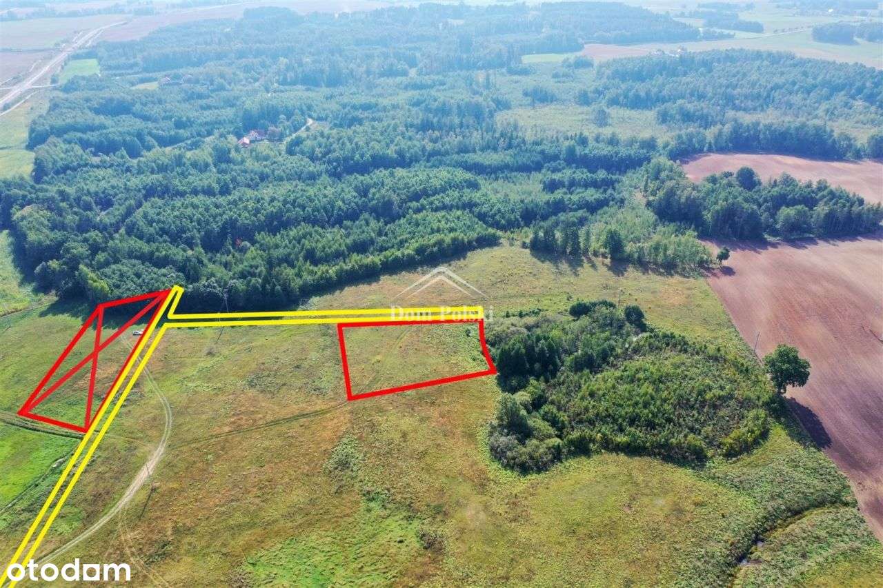 Działki budowlane 4 km od Olecka - Zielonówek - Pełny obrazek: 4/8