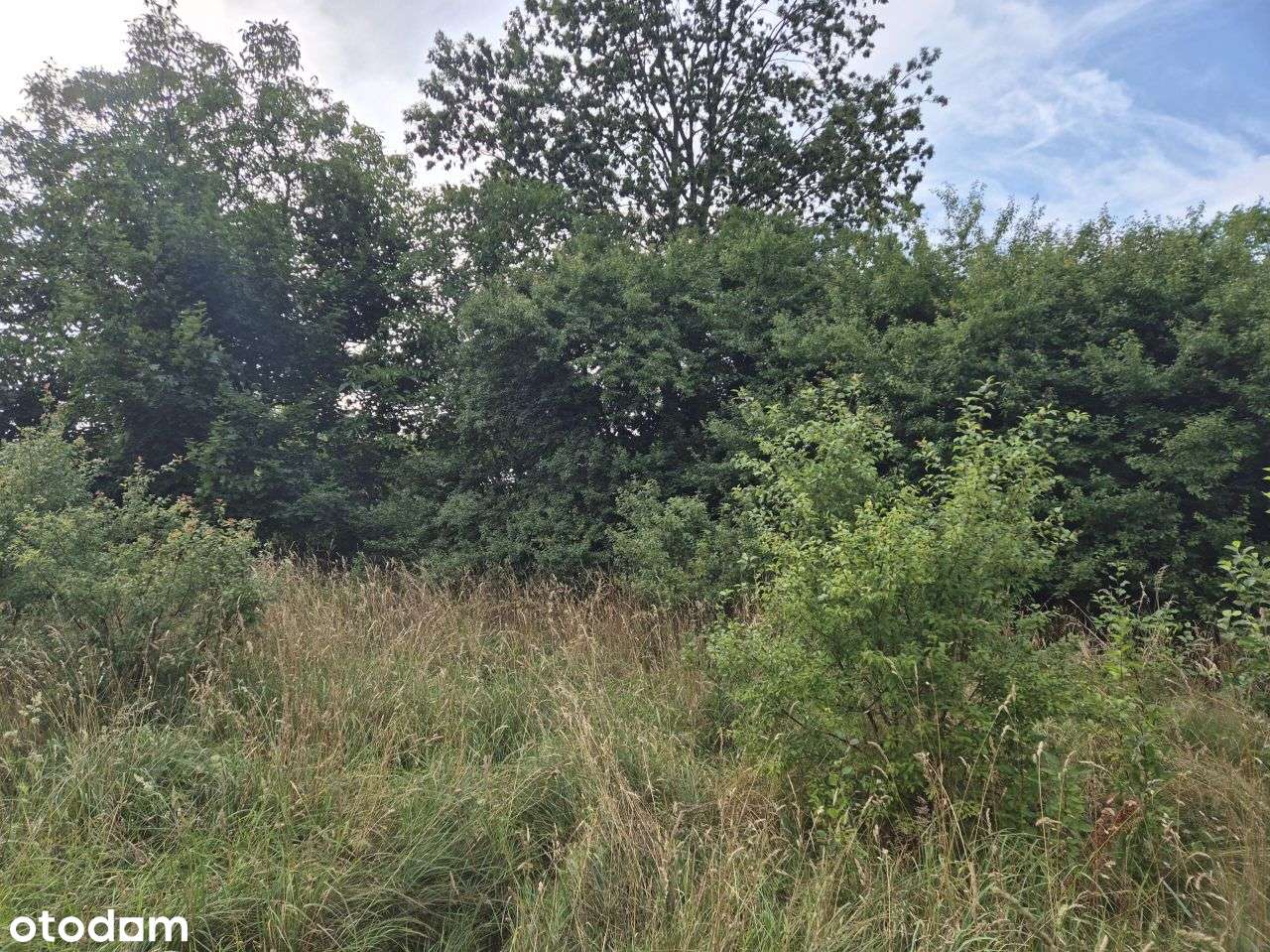 Działka, 719 m², Wejherowo-14