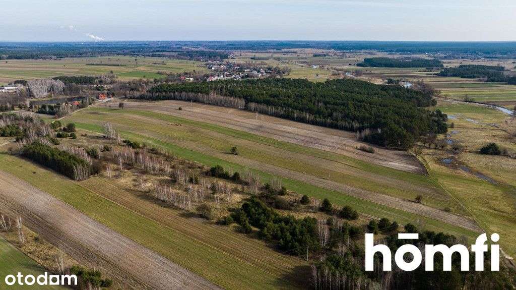 Duża działka w Goryniu, widok na dolinę Radomki - Pełny obrazek: 4/12