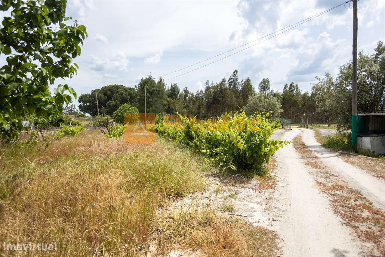 Moradia nas Fazendas das Figueiras, Branca-34
