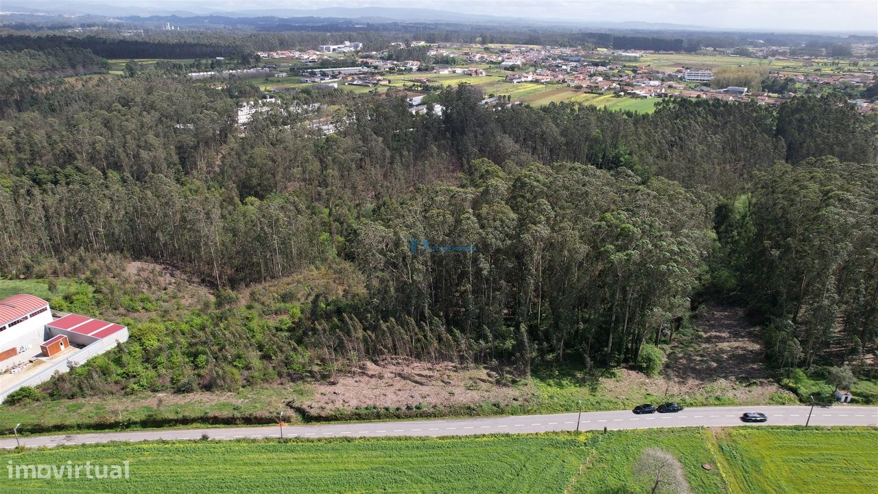 Terreno Para Construção  Venda em Ovar, São João, Arada e São Vicente