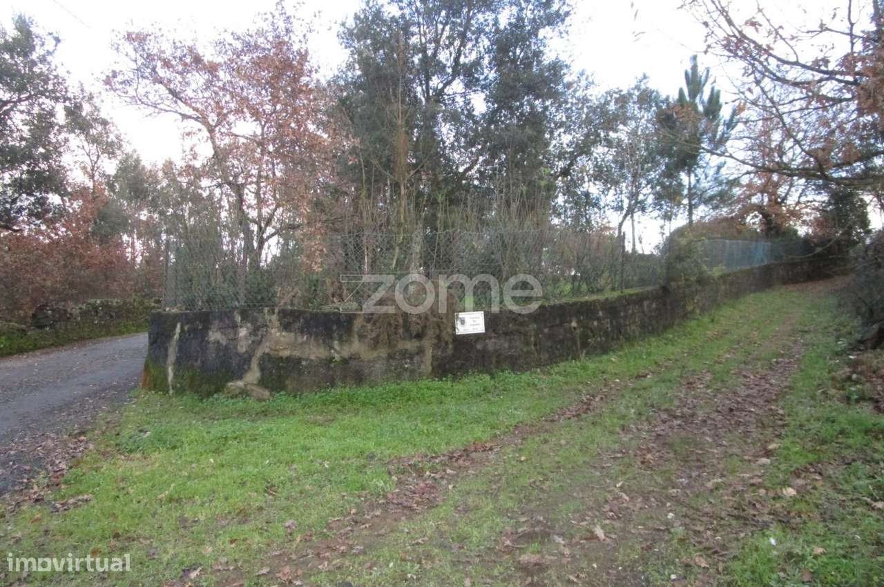 terreno rústico com 2 600 M2 em Palmeira Santo Tirso -Porto - Grande imagem: 2/15