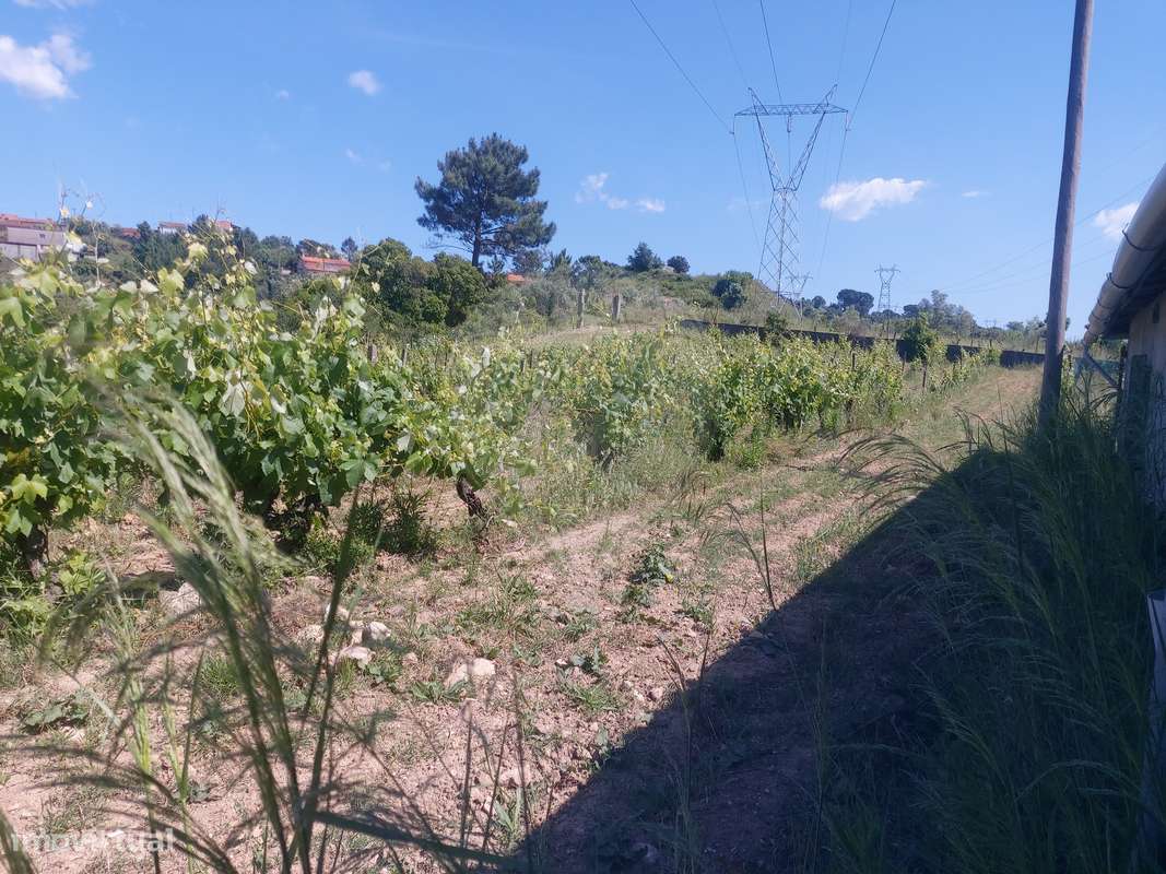 Terreno  para venda - Grande imagem: 2/21