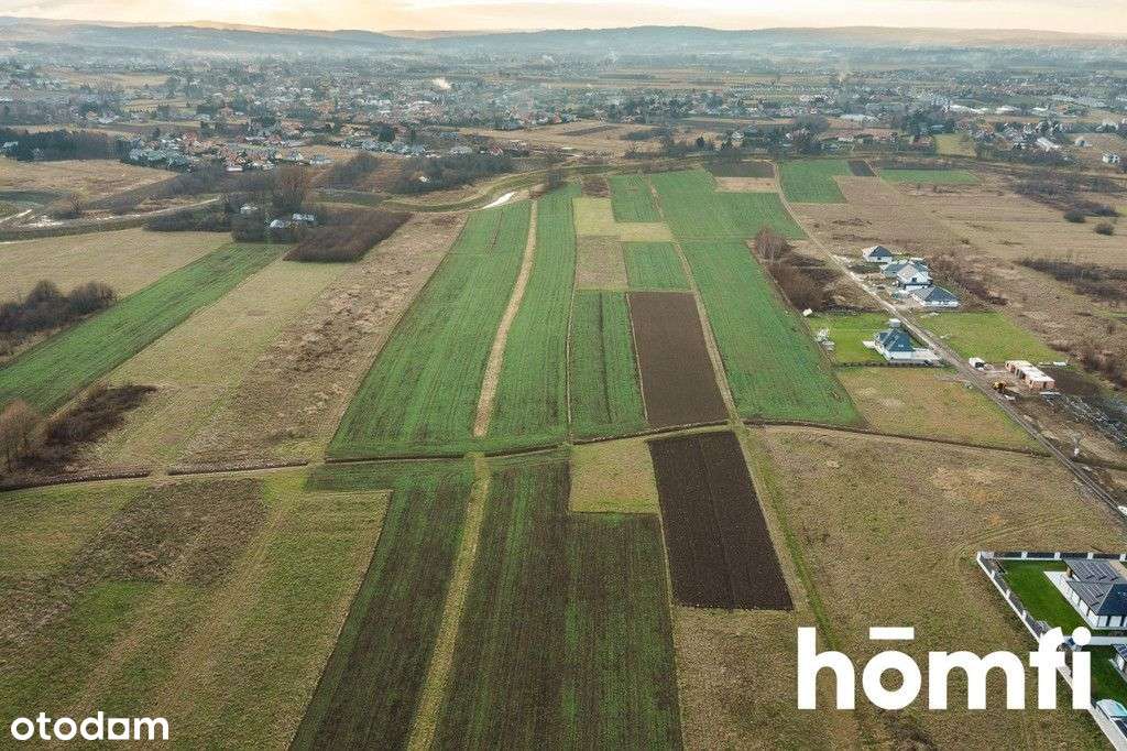 Idealna działka pod osiedle szeregówek – 1,25 ha - Pełny obrazek: 3/12