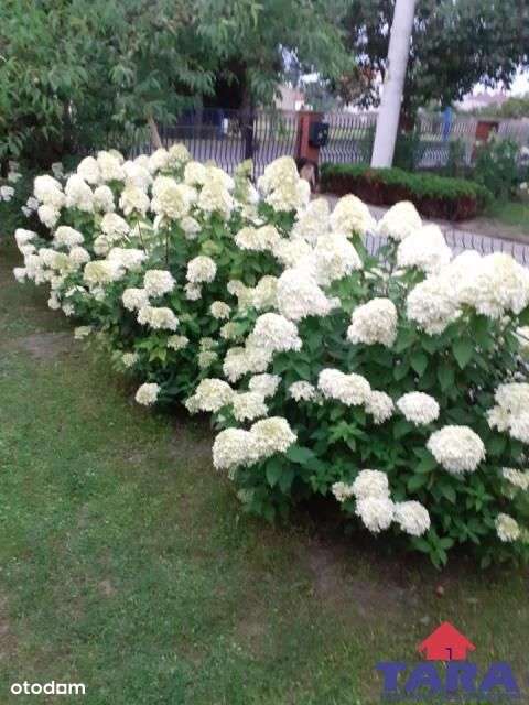 Dom w zabudowie bliźniaczej-7