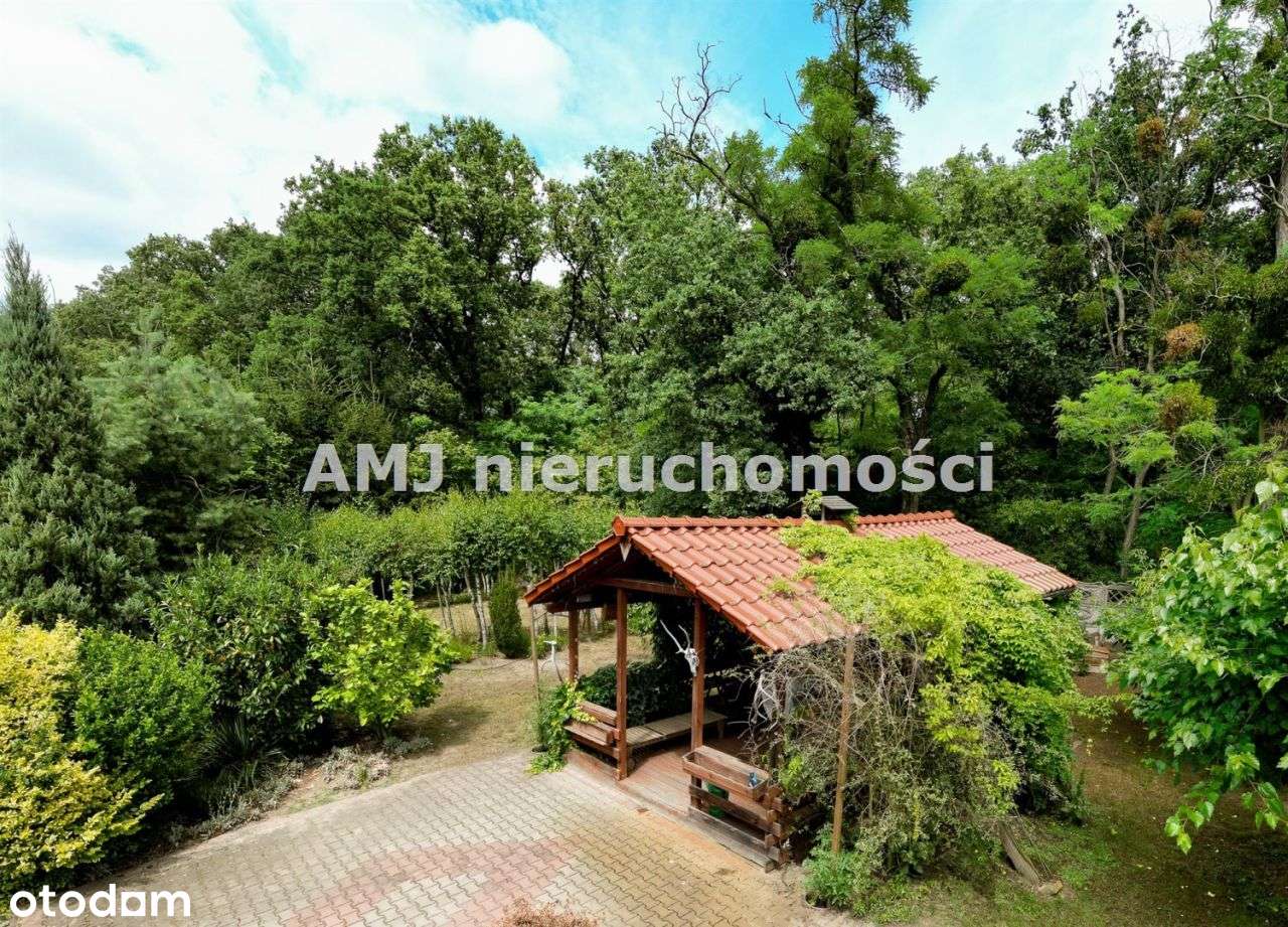 Dom marzeń w otoczeniu lasu-14