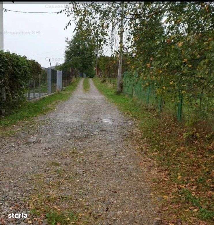 BREAZA CASA DE VACANTA- STRADA BUCEGI - Imagine principală: 4/20