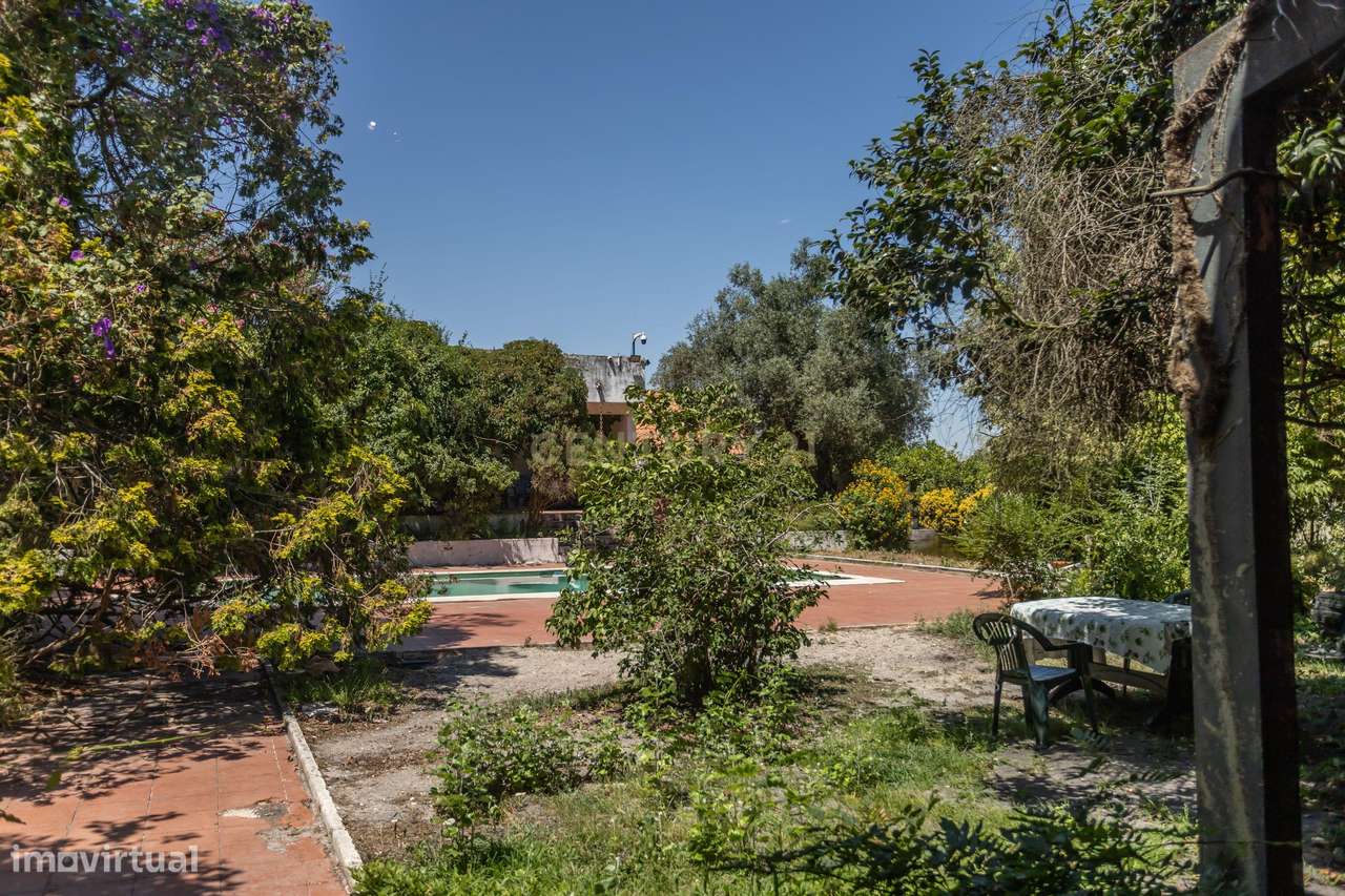 Vila de Prestígio T7+2 com 5.000 m² de Privacidade na Verdizela-12