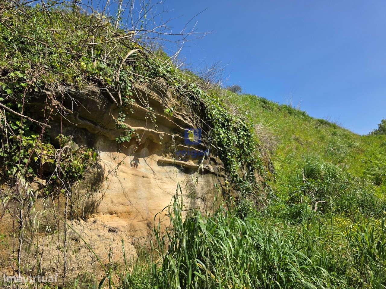 Quintinha com 12.484m2 de Terreno e 260m2 de área bruta. Possibilidad-22