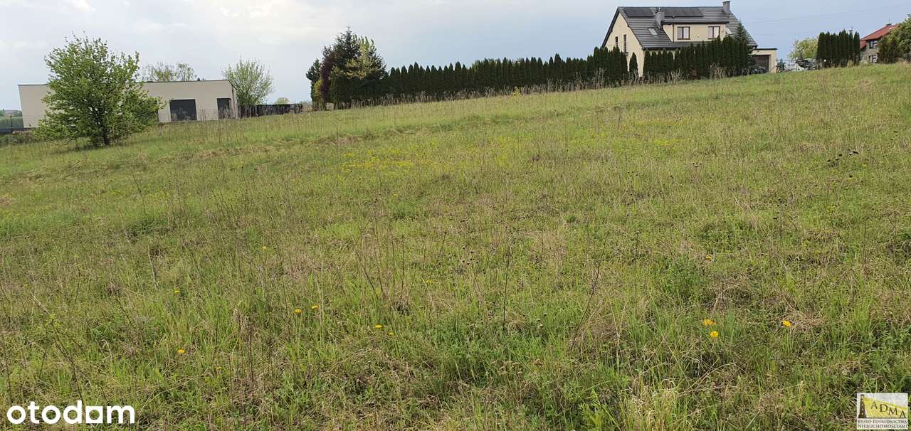 9 z 10 działek budowlanych Toporowice-3