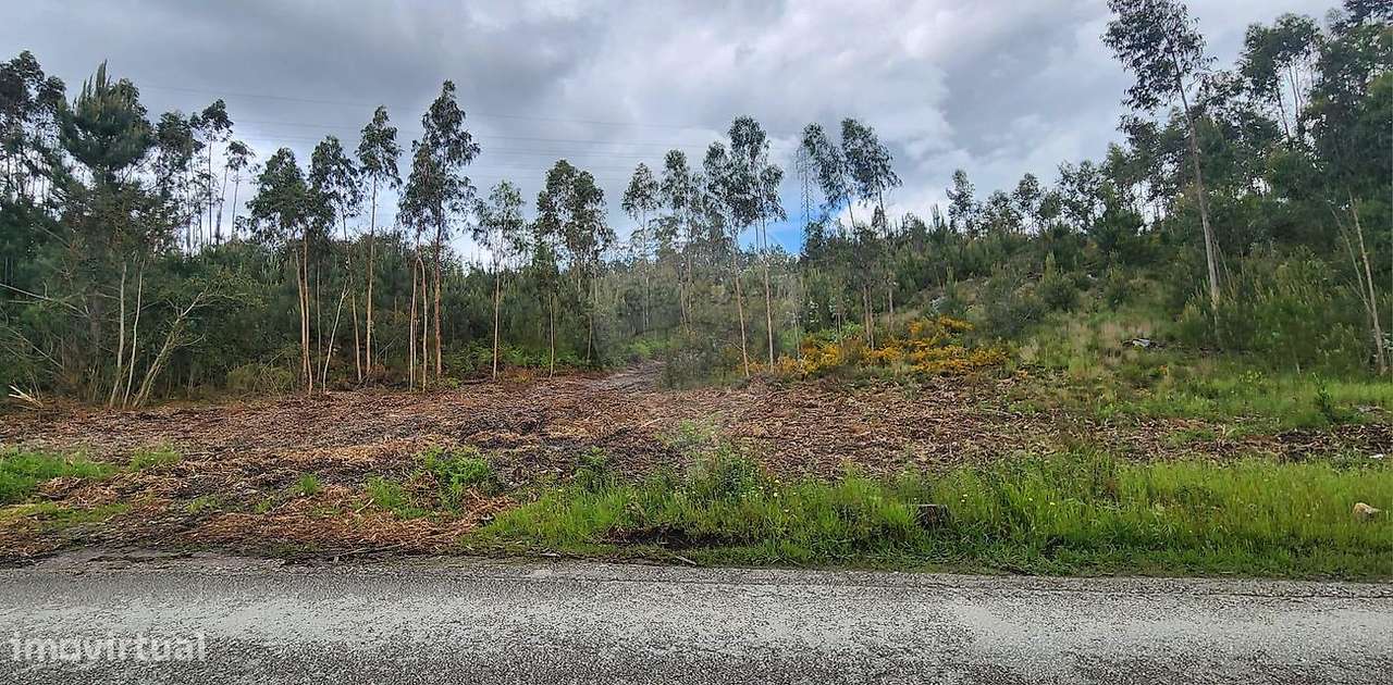 Terreno  para venda - Grande imagem: 2/28