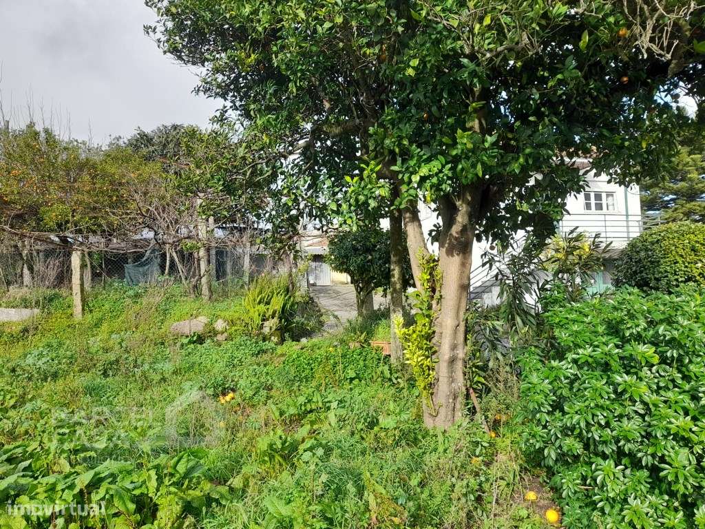 Propriedade em Galegos (Santa Maria) - Barcelos-13