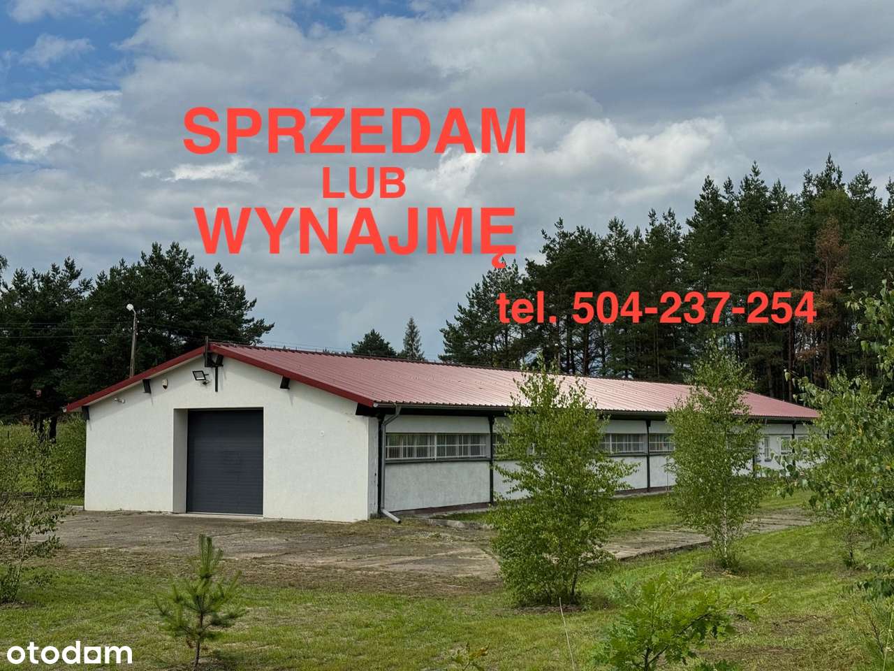 Hala magazynowo - produkcyjna z powierzchnią biurową - Pełny obrazek: 1/5