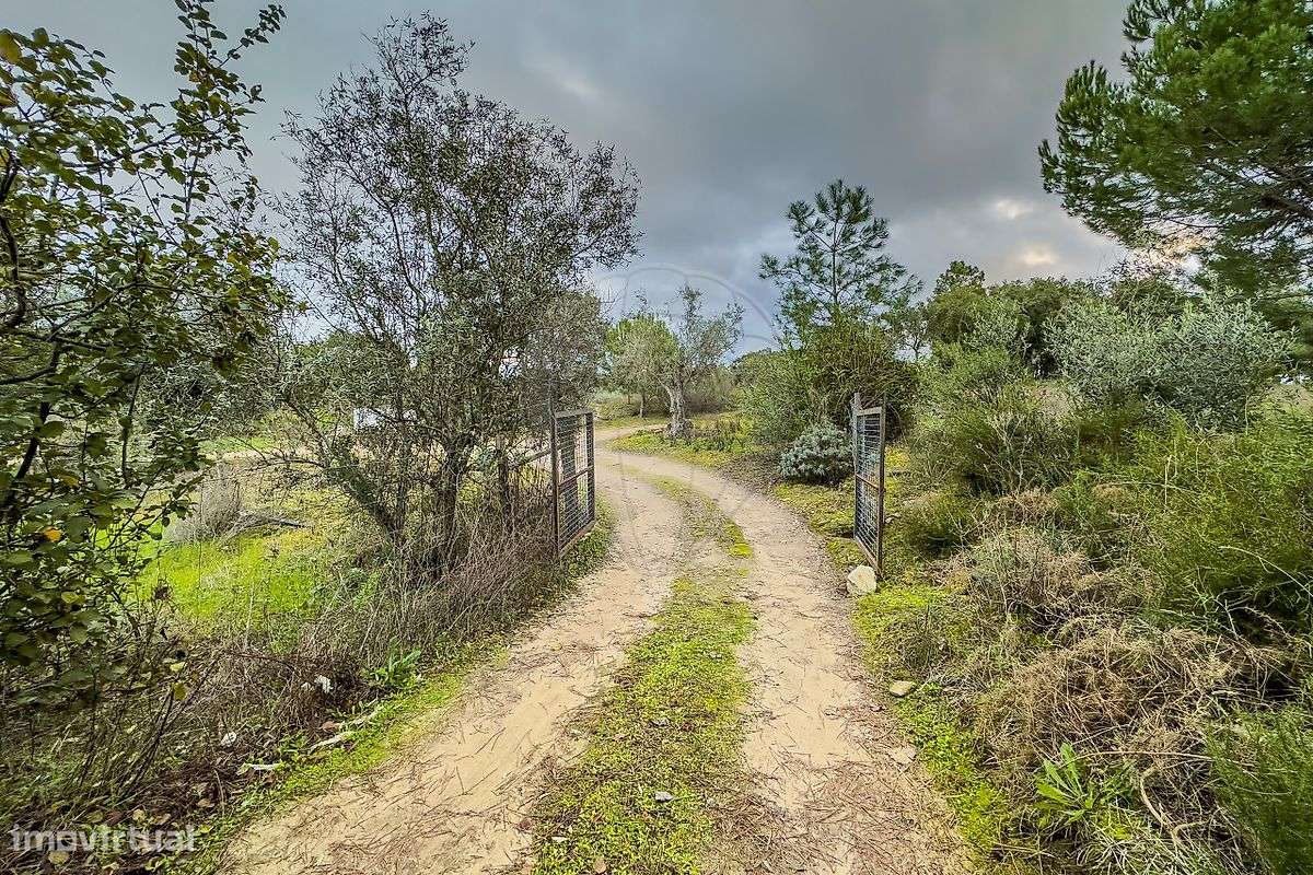 Terreno  para venda - Grande imagem: 5/35