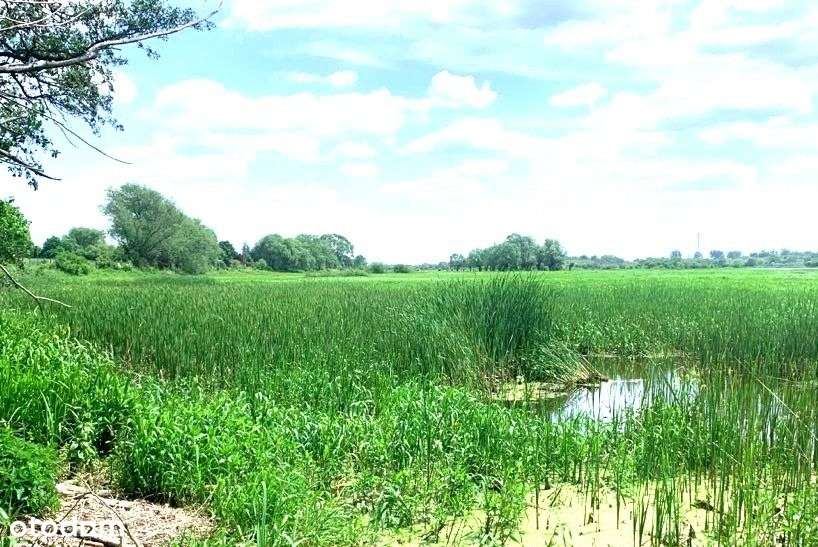 Zamieszkaj na wsi nad Bugiem niedaleko `Wawy-7