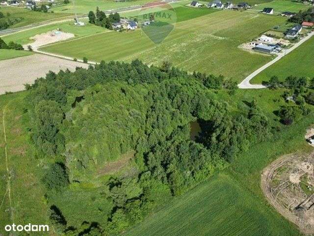 Piękna działka pod siedlisko przy Gdańsku - Pełny obrazek: 5/9