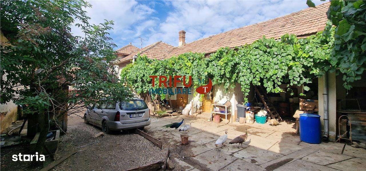 Casa de vanzare cu 1252 mp teren in Ighiu - Imagine principală: 3/10