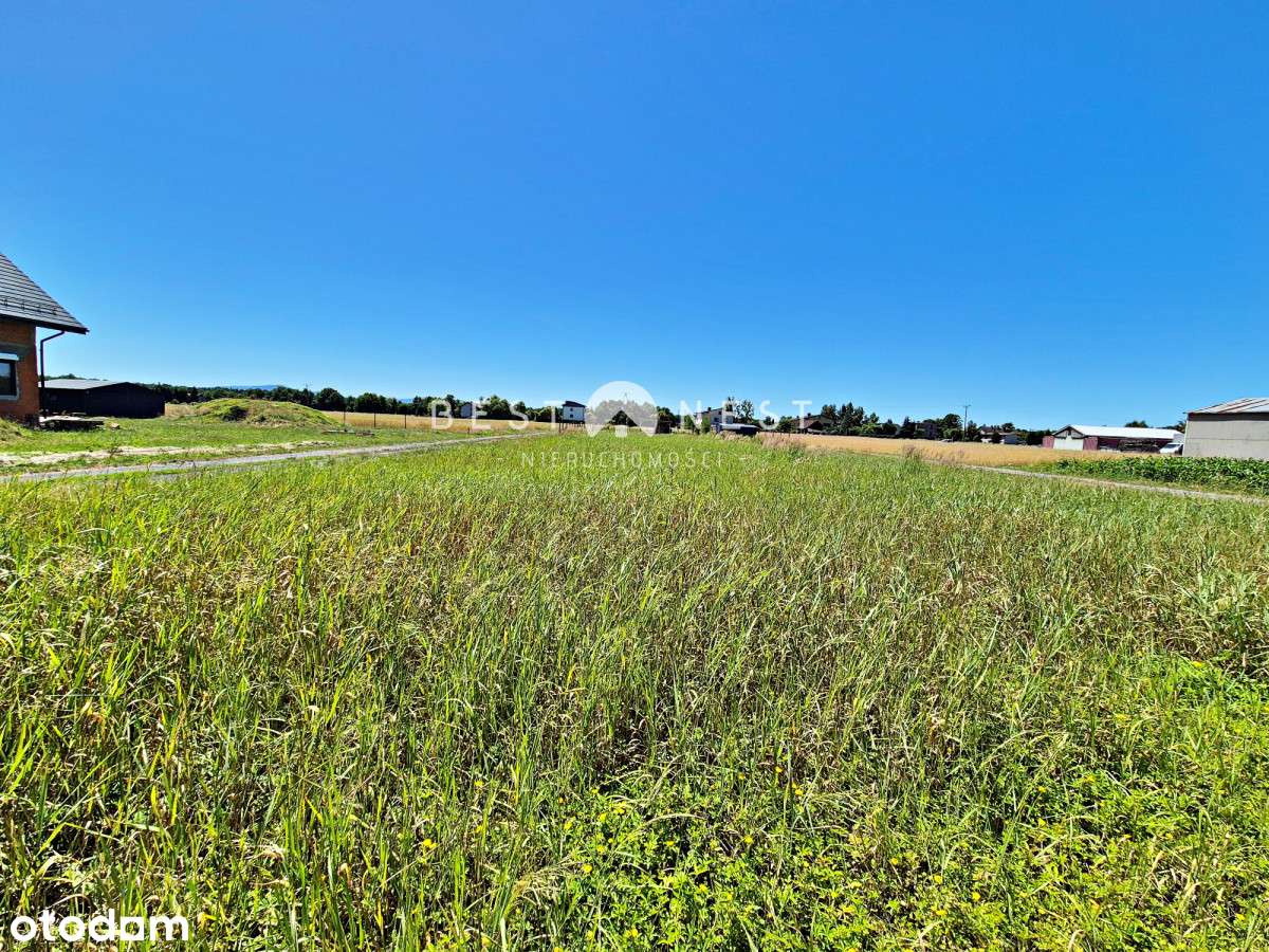 298515 - Pełny obrazek: 4/7