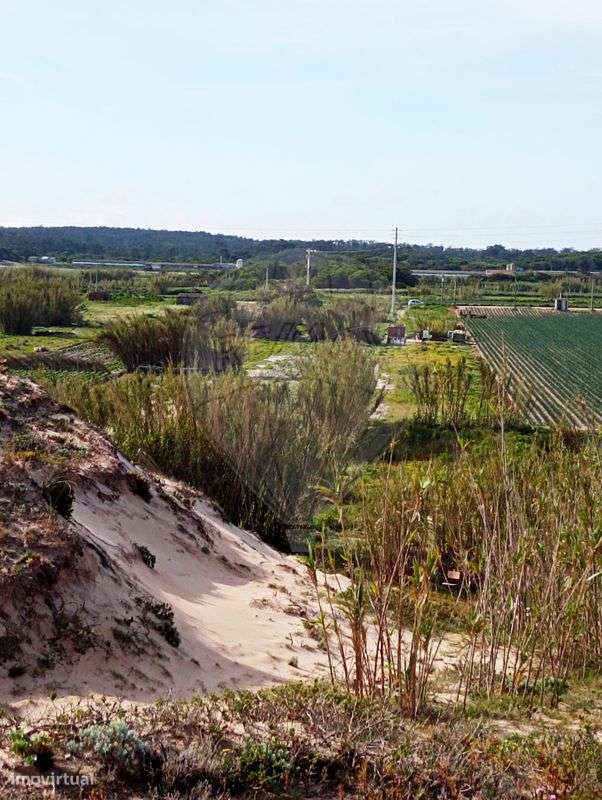 Terreno  para venda - Grande imagem: 4/6