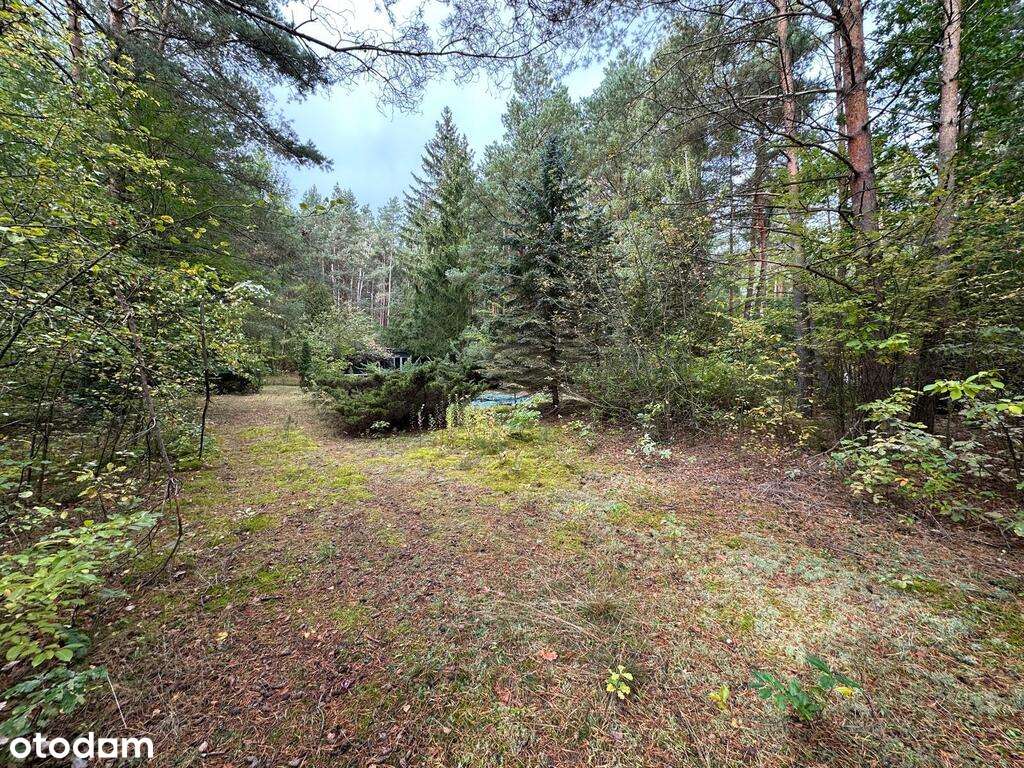 Malownicza działka nad rzeką Bug – Kania Polska - Pełny obrazek: 4/18