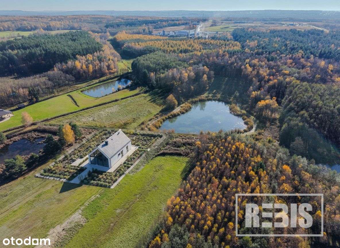 Działka Zdżary z WZ (10,5a) + 73a pod staw-7