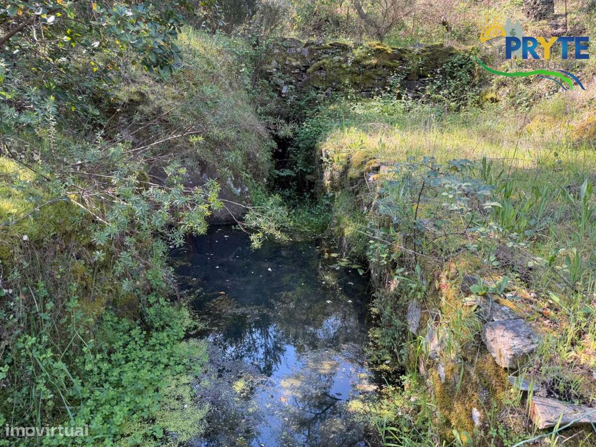 Terreno com uma ruína não registada a 6 quilómetros da Sertã-3