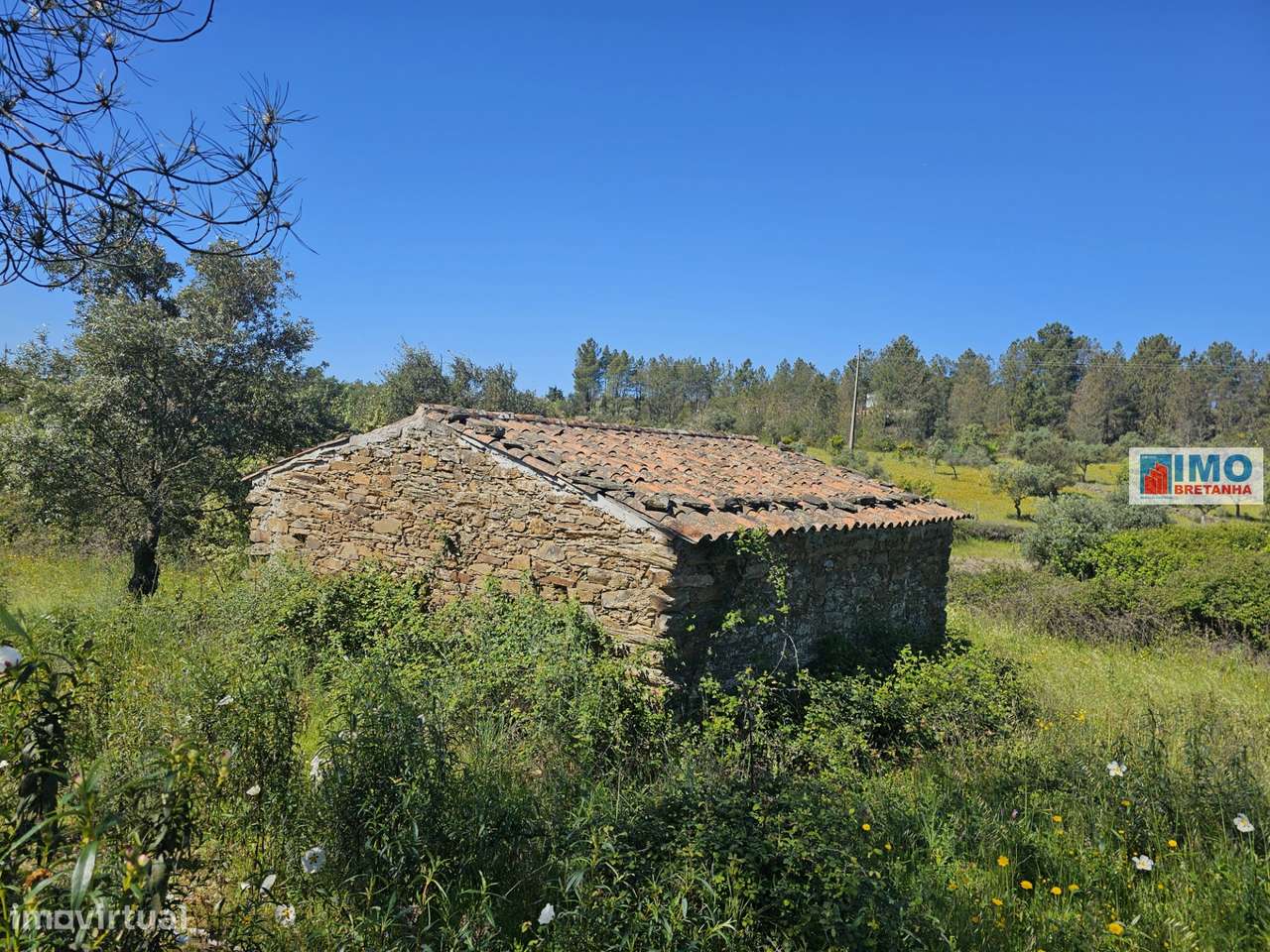 Quinta em Amarelos - 15 min. Castelo Branco - Grande imagem: 4/23