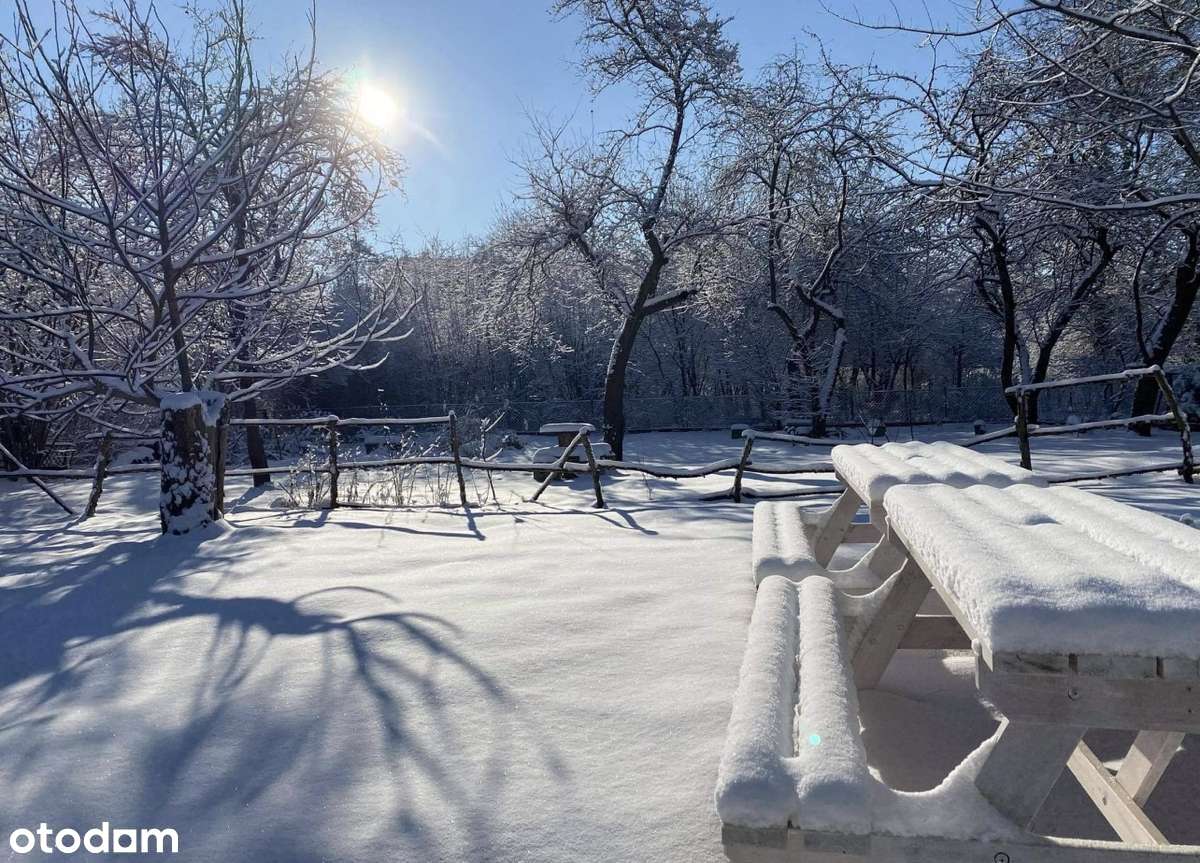 Odstąpię dzierżawę ROD Mandragora Saska Kępa. Bez prowizji.-3