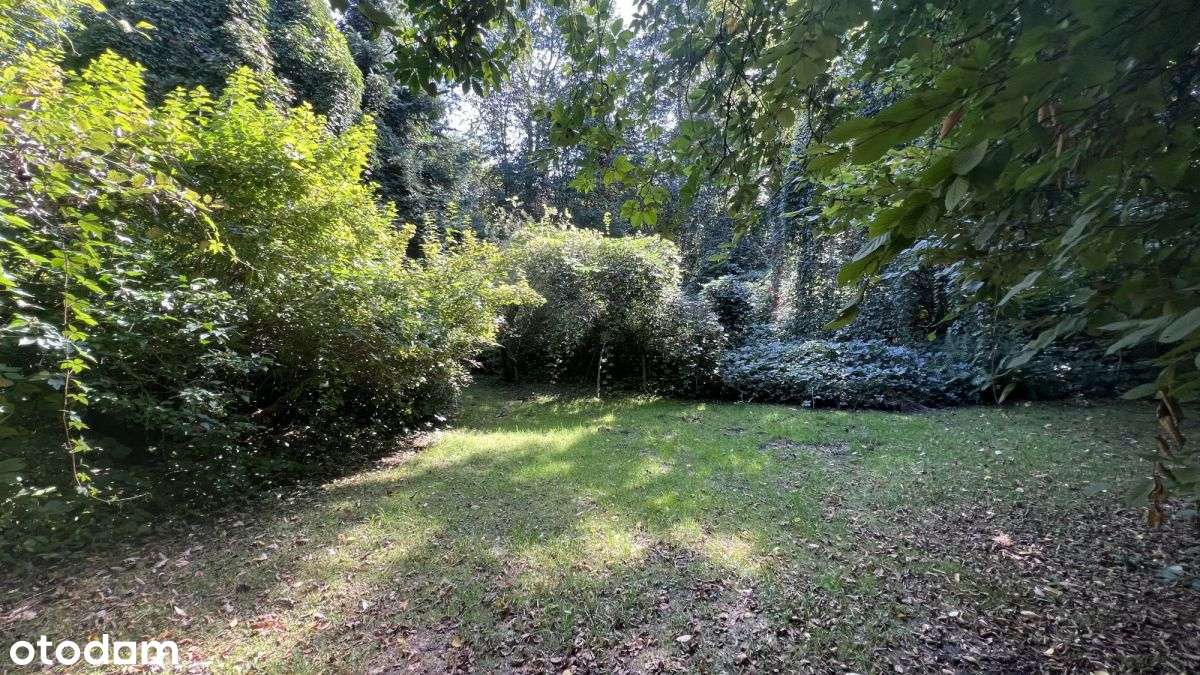 Inwestycyjna działka w Sierczy 39 ar, Pum 1000 m²-8