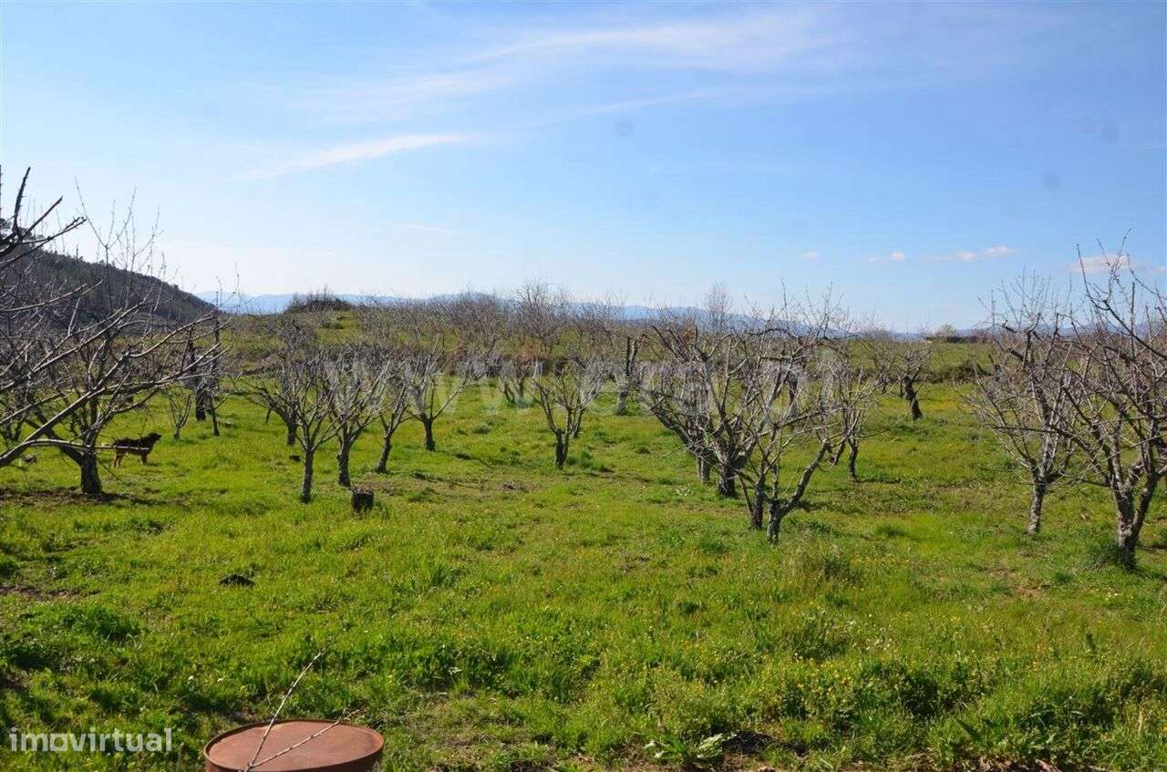 Quinta / Fundão, Aldeia de Joanes - Grande imagem: 3/12