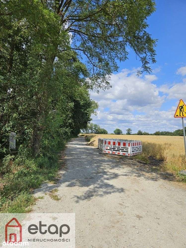 Zborowo nad jeziorem działka rezydencjonalna - Pełny obrazek: 5/19