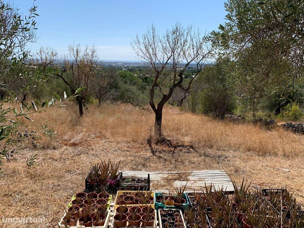 Terreno Urbano, com 3 artigos, Colmeal - Grande imagem: 1/60