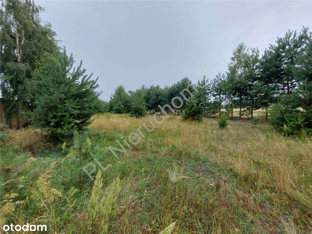 Działka Budowlana W Głuszy Rezerwatu-18