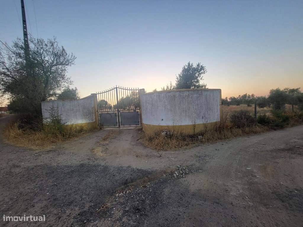 Quintinha com 26.000 m2 - Grande imagem: 3/18