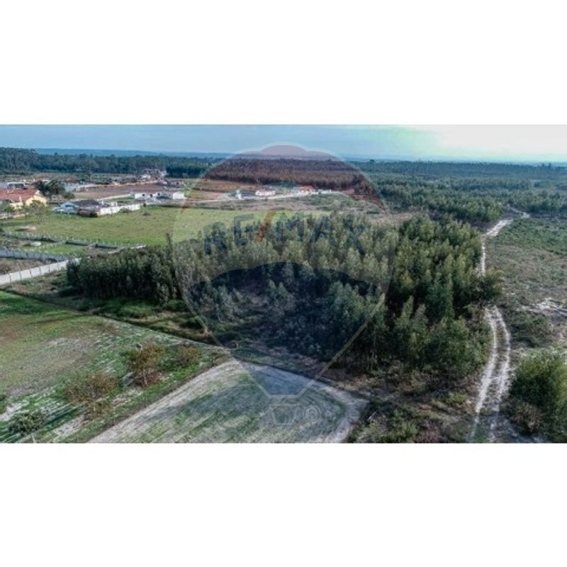 Terreno  para venda