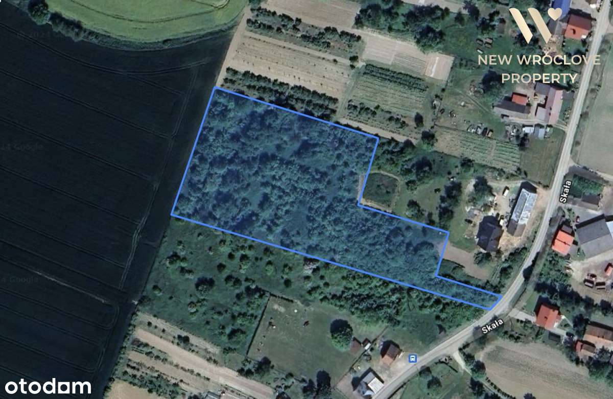 Działka rolno-budowlana, Skała, negocjacje - Pełny obrazek: 3/3