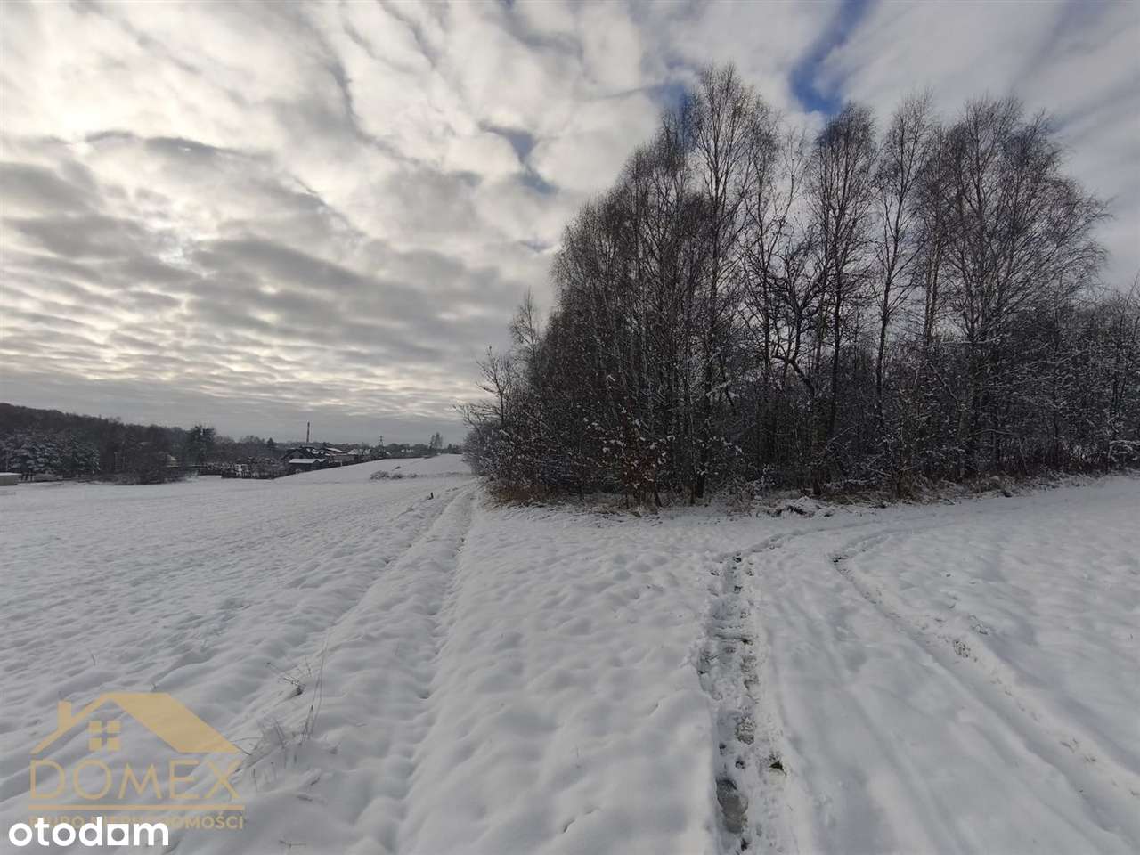 Duża działka w Radlinie – 3467m² - TOP-2