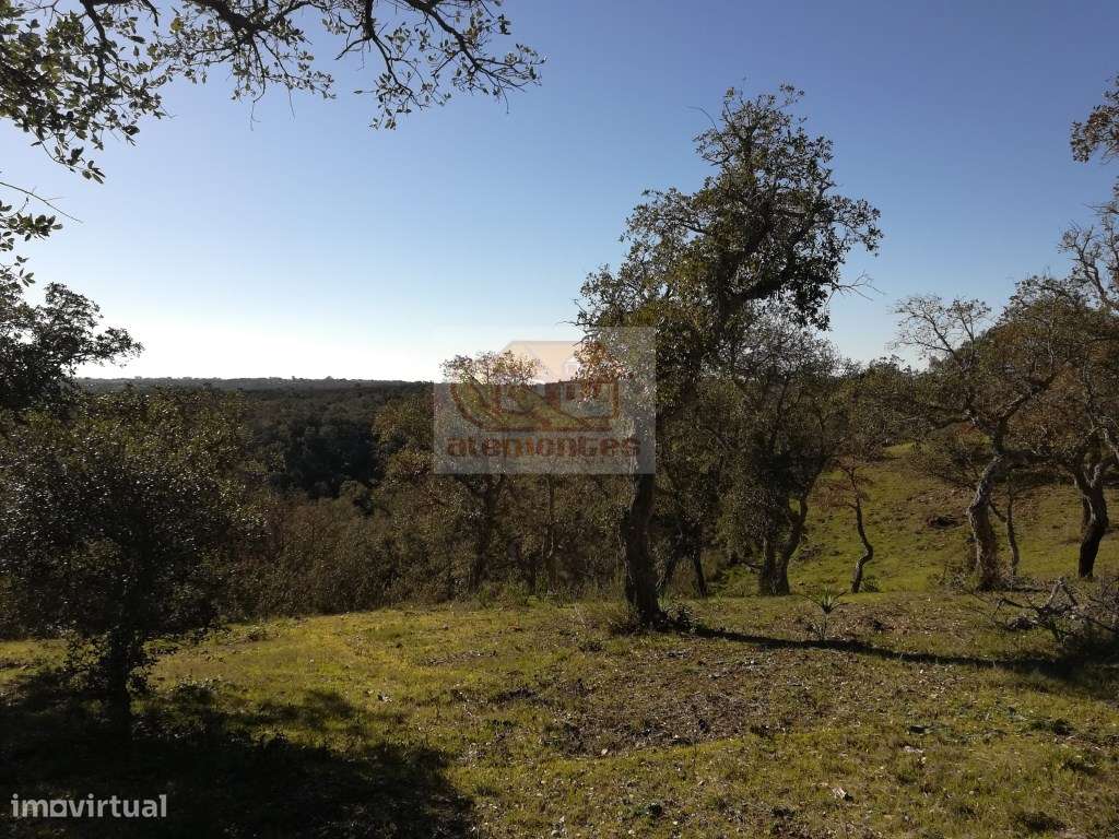 Hotel Rural: PRONTO A CONSTRUIR com todos os projectos aprovados-13
