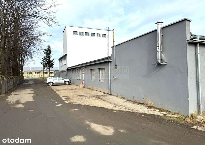 Hale/lokale produkcyjno-handlowe/ul. Staszica-4