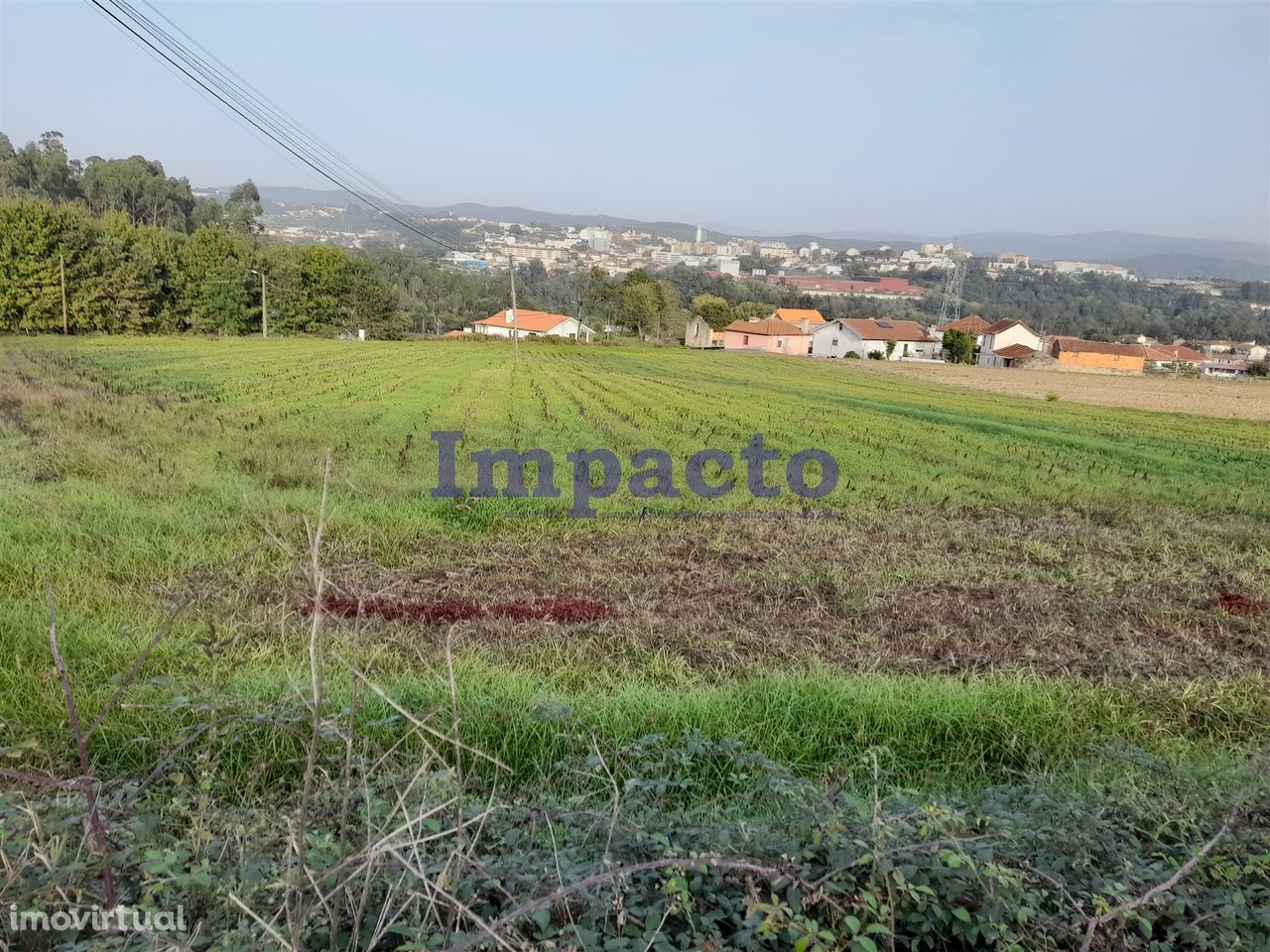 Terreno  Venda em Oliveira de Azeméis, Santiago de Riba-Ul, Ul, Macinh