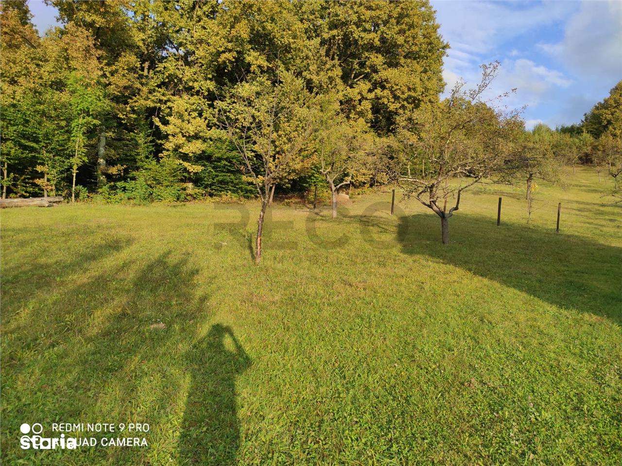 RECO Casa de vacanta in Borod - Imagine principală: 5/10