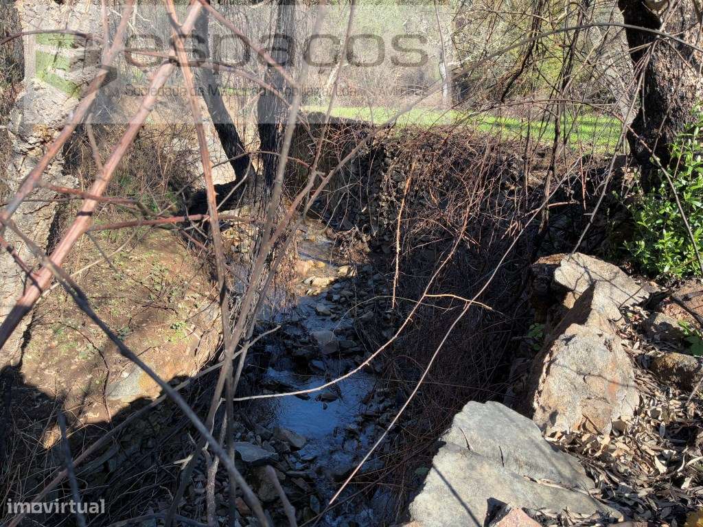 Quinta - Grande imagem: 4/24