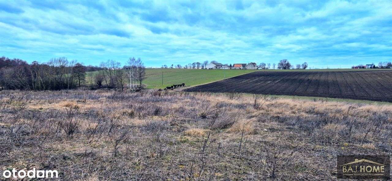 Gruta działka na sprzedaż.-3