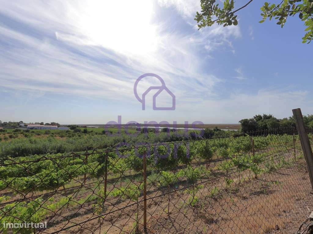 Moradia T2 + 2 para renovar em Arroio - Luz de Tavira-8