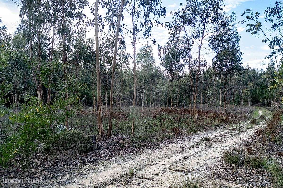 Terreno  para venda - Grande imagem: 4/5