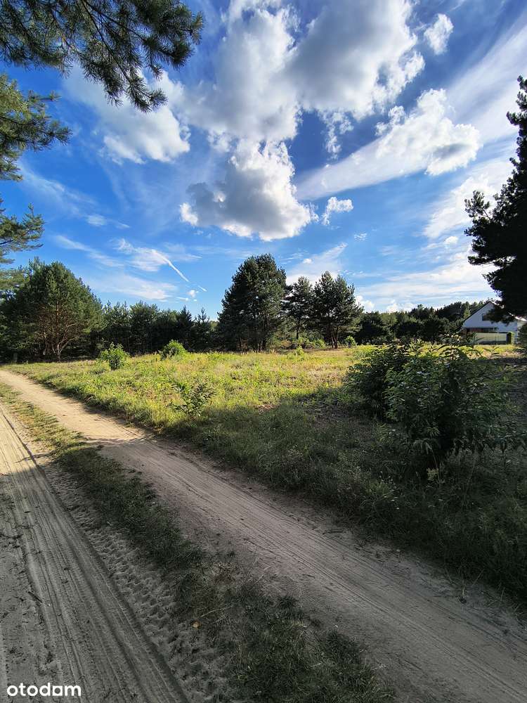 Idealna działka nad Zalewem Sulejowskim! - Pełny obrazek: 5/16