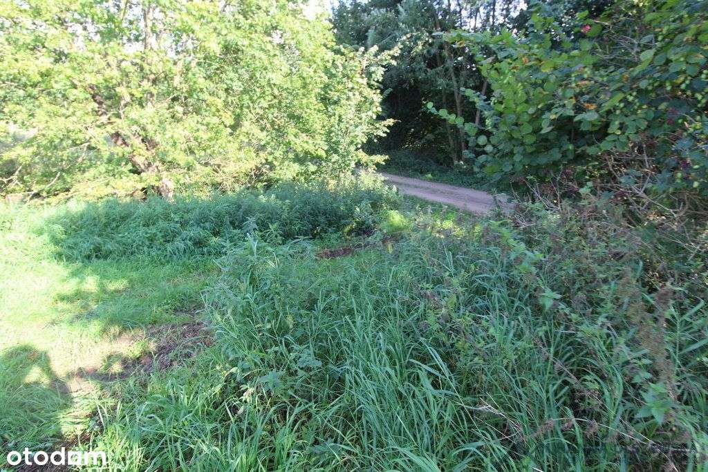 Działa przy jeziorze Łąkorz-9