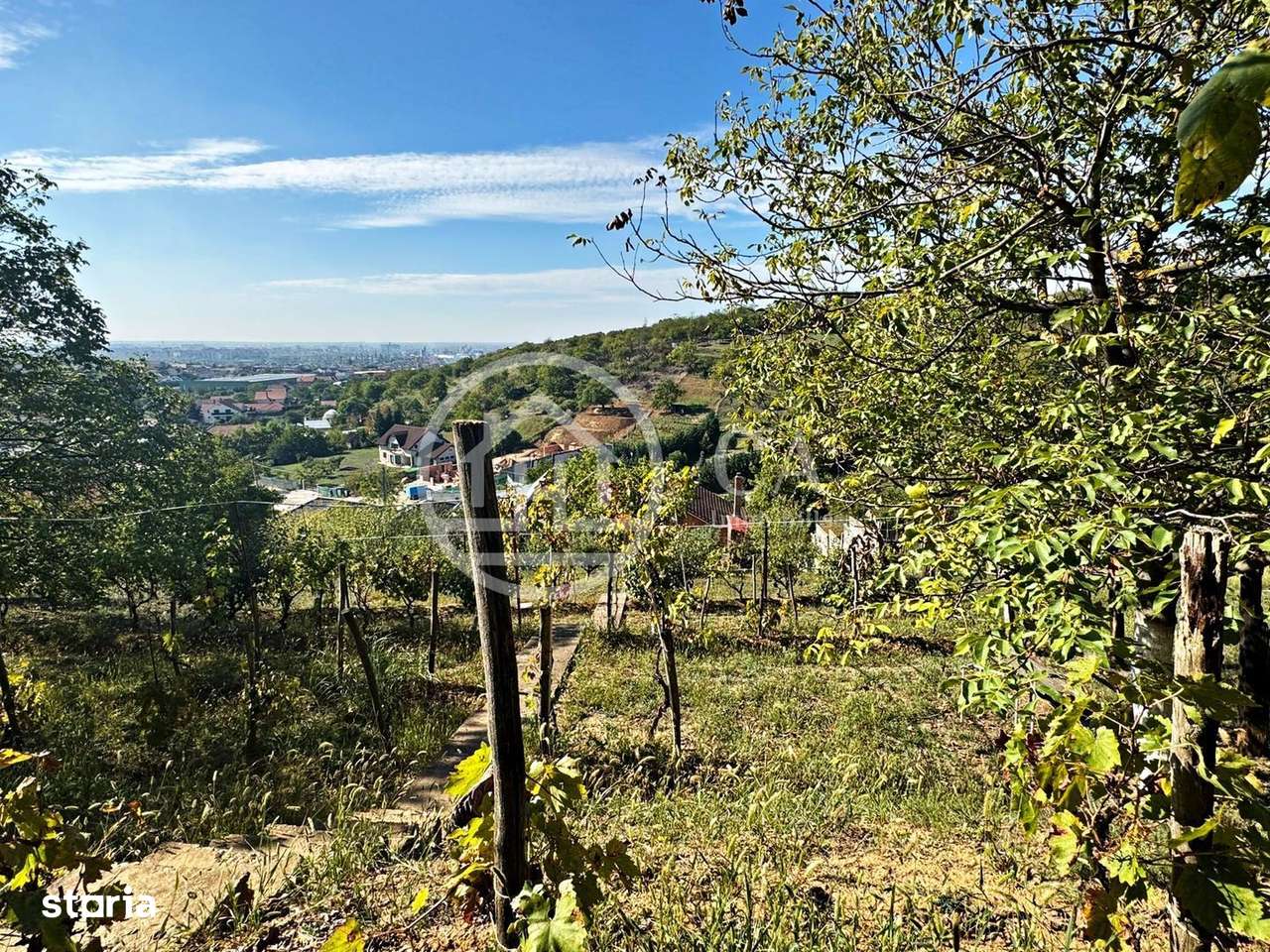 Teren de vânzare in zona de Dealuri, Oradea - Imagine principală: 2/4